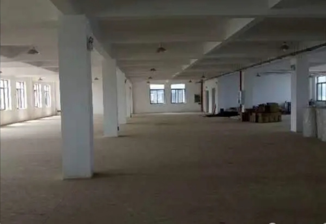 公司自建标准厂房，独门独院，房东直租。